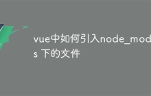 vue中如何引入node_modules 下的文件