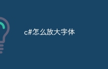 c#怎么放大字体