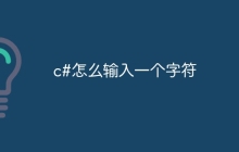 c#怎么输入一个字符