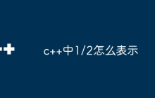c++中1/2怎么表示