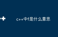 c++中f是什么意思