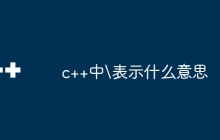 c++中\表示什么意思