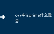 c++中isprime什么意思