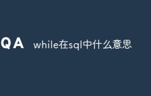 while在sql中什么意思