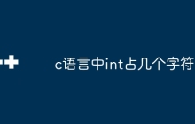 c语言中int占几个字符