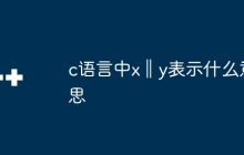 c语言中x‖y表示什么意思