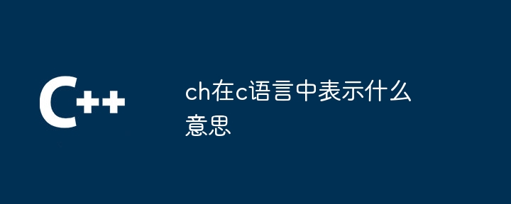 ch在c语言中表示什么意思