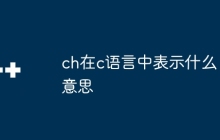 ch在c语言中表示什么意思