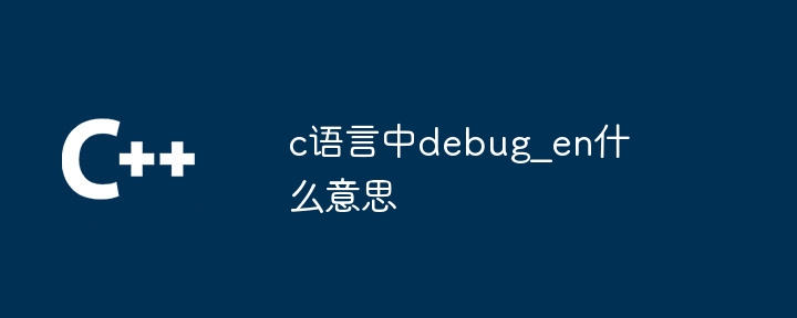 c语言中debug_en什么意思