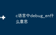 c语言中debug_en什么意思