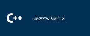 c语言中s代表什么