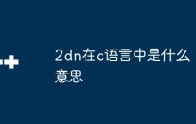 2dn在c语言中是什么意思