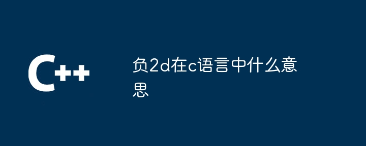 负2d在c语言中什么意思