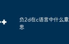 负2d在c语言中什么意思