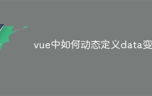 vue中如何动态定义data变量