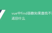 vue中find函数如果查找不到返回什么