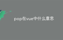 pop在vue中什么意思