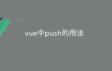 vue中push的用法