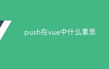 push在vue中什么意思