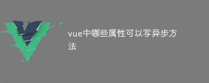 vue中哪些属性可以写异步方法