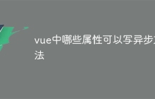 vue中哪些属性可以写异步方法