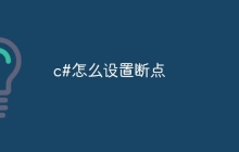 c#怎么设置断点