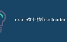 oracle如何执行sqlloader