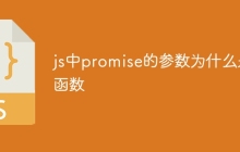 js中promise的参数为什么是函数