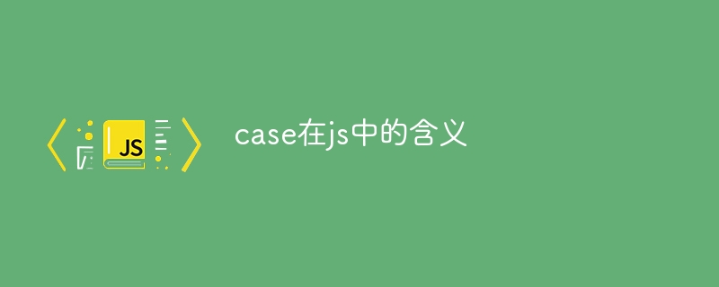 case在js中的含义