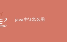 java中\t怎么用