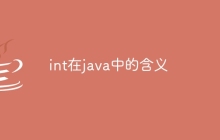 int在java中的含义