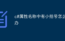 c#属性名称中有小括号怎么办