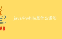 java中while是什么语句