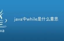java中while是什么意思
