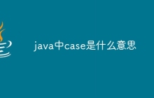 java中case是什么意思