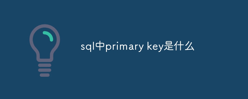 sql中primary key是什么