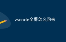 vscode全屏怎么回来