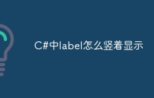 C#中label怎么竖着显示