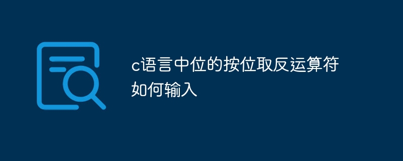 c语言中位的按位取反运算符如何输入