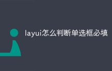 layui怎么判断单选框必填