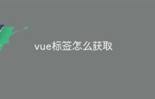 vue标签怎么获取