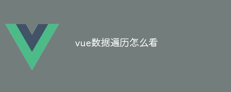 vue数据遍历怎么看