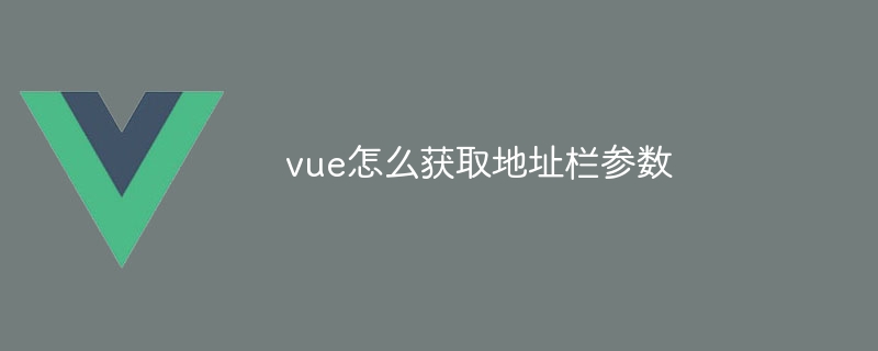 vue怎么获取地址栏参数