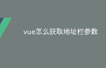 vue怎么获取地址栏参数