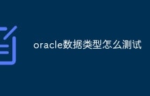oracle数据类型怎么测试