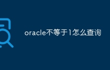oracle不等于1怎么查询