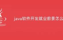 java软件开发就业前景怎么样