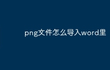png文件怎么导入word里