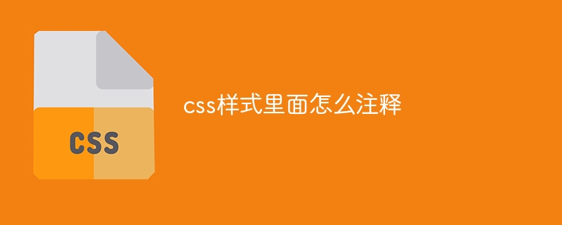 css样式里面怎么注释