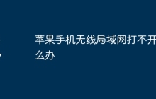 苹果手机无线局域网打不开怎么办